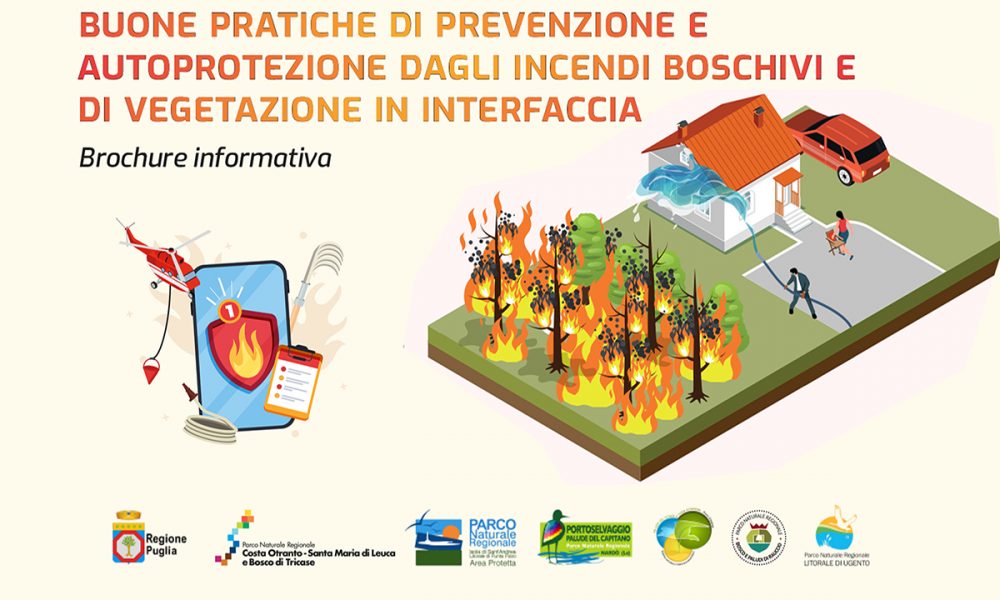 Prevenzione Incendi: Una Guida Per Tutti | Il Gallo